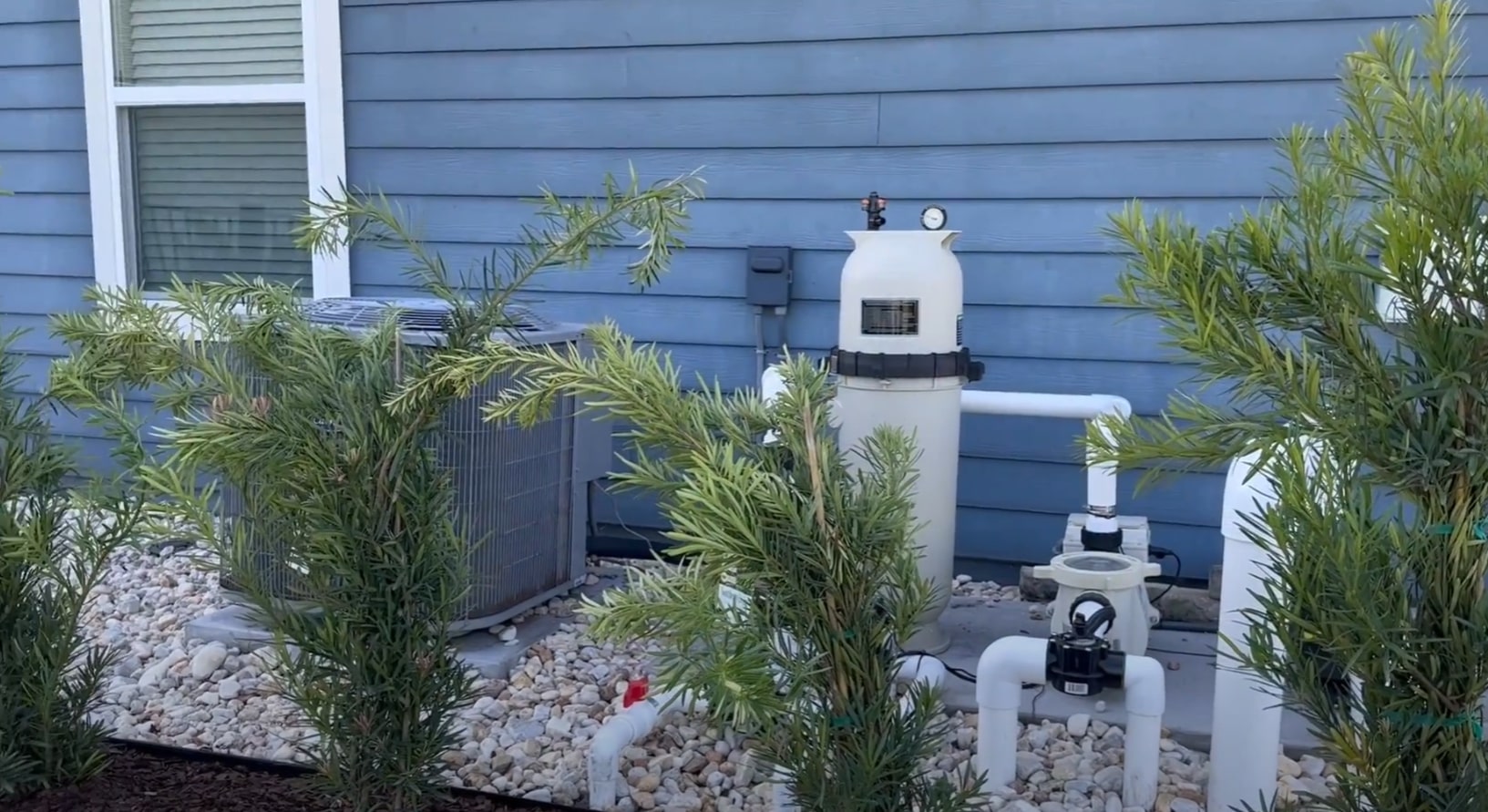 Pool equipment screening with tropical plants